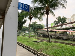 Blk 113 Pending Road (Bukit Panjang), HDB 3 Rooms #213055411